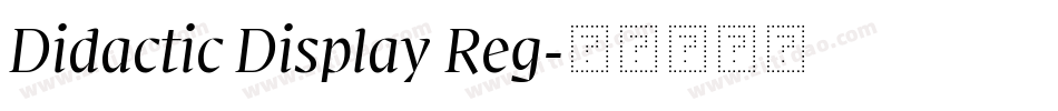 Didactic Display Reg字体转换